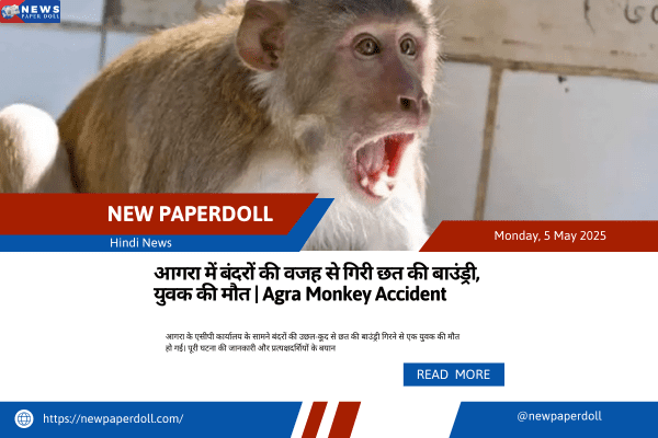 आगरा में बंदरों की वजह से गिरी छत की बाउंड्री, युवक की मौत | Agra Monkey Accident